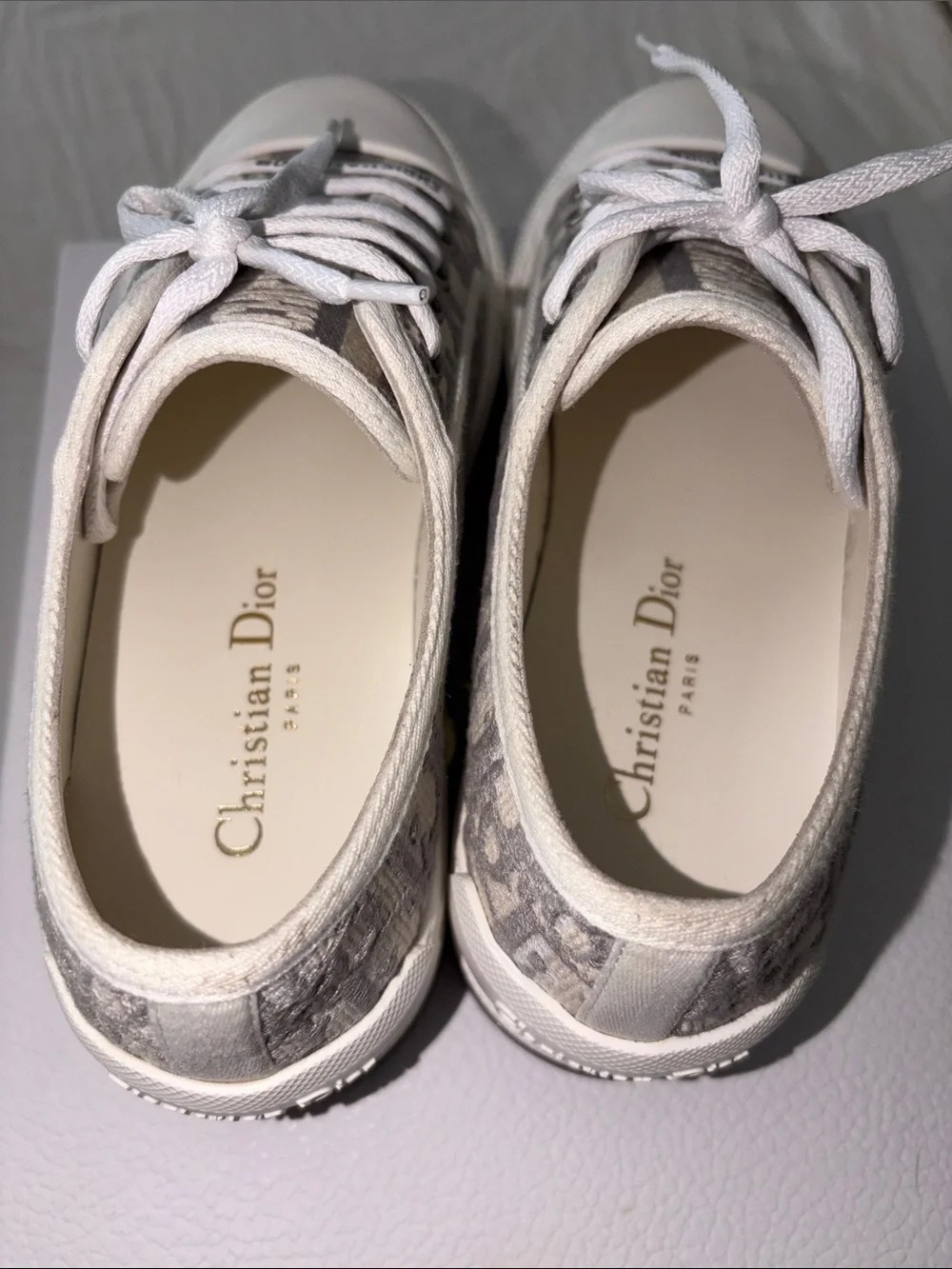 Dior signature oblique