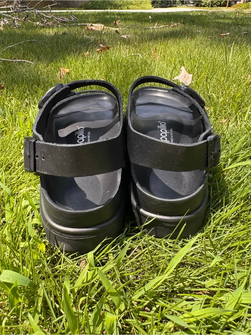 Papillio wrapped luxuriously