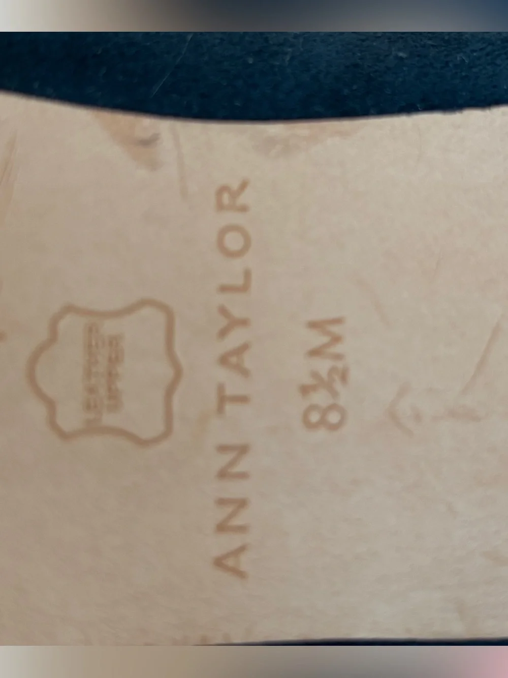 Ann Taylor ann taylor