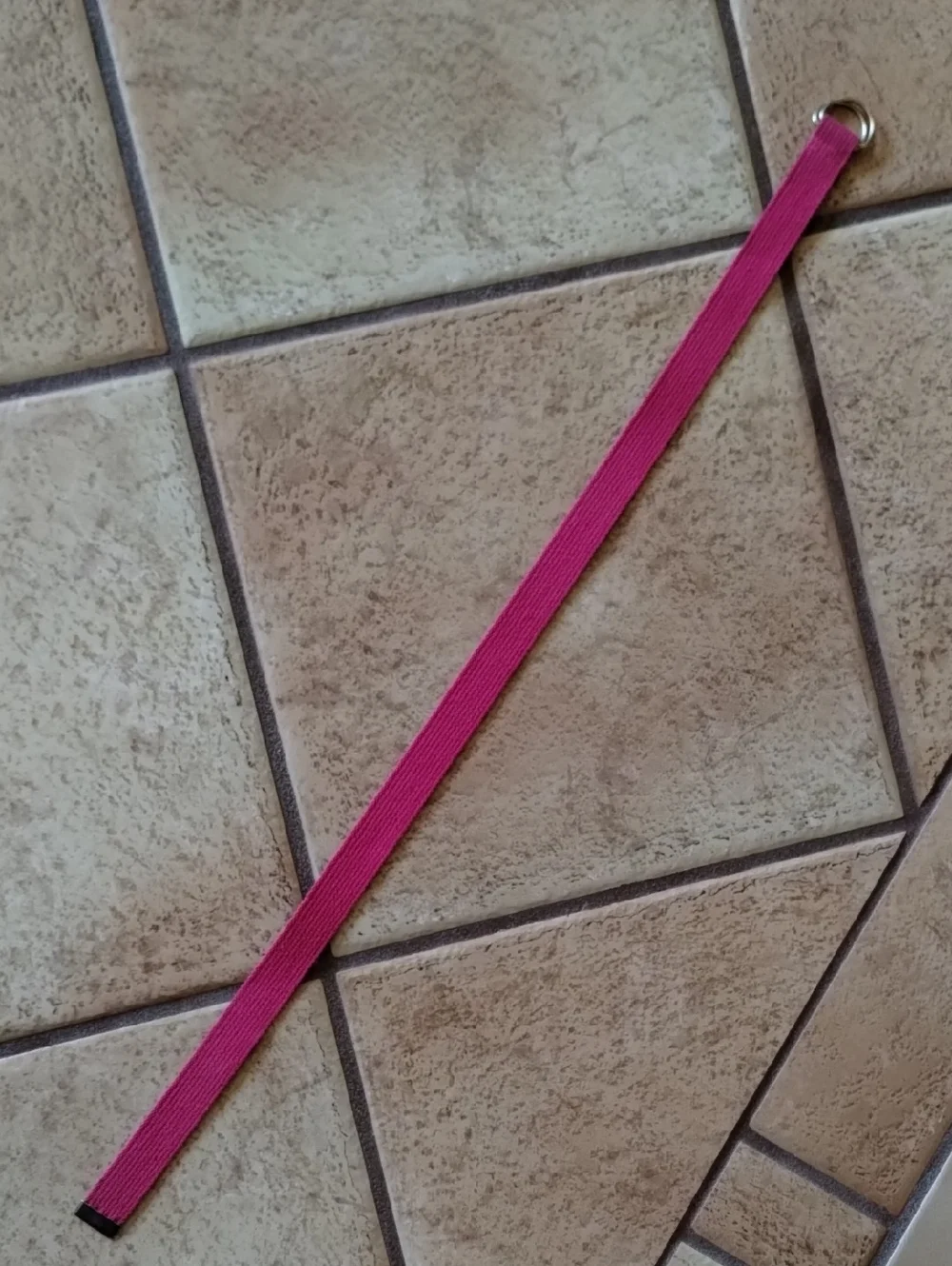 Pink Web Belt