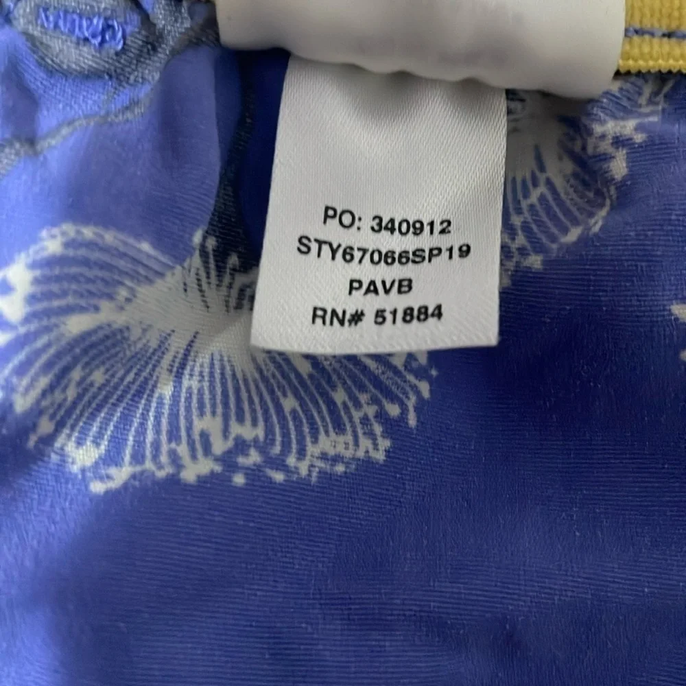 Patagonia vibrant blue