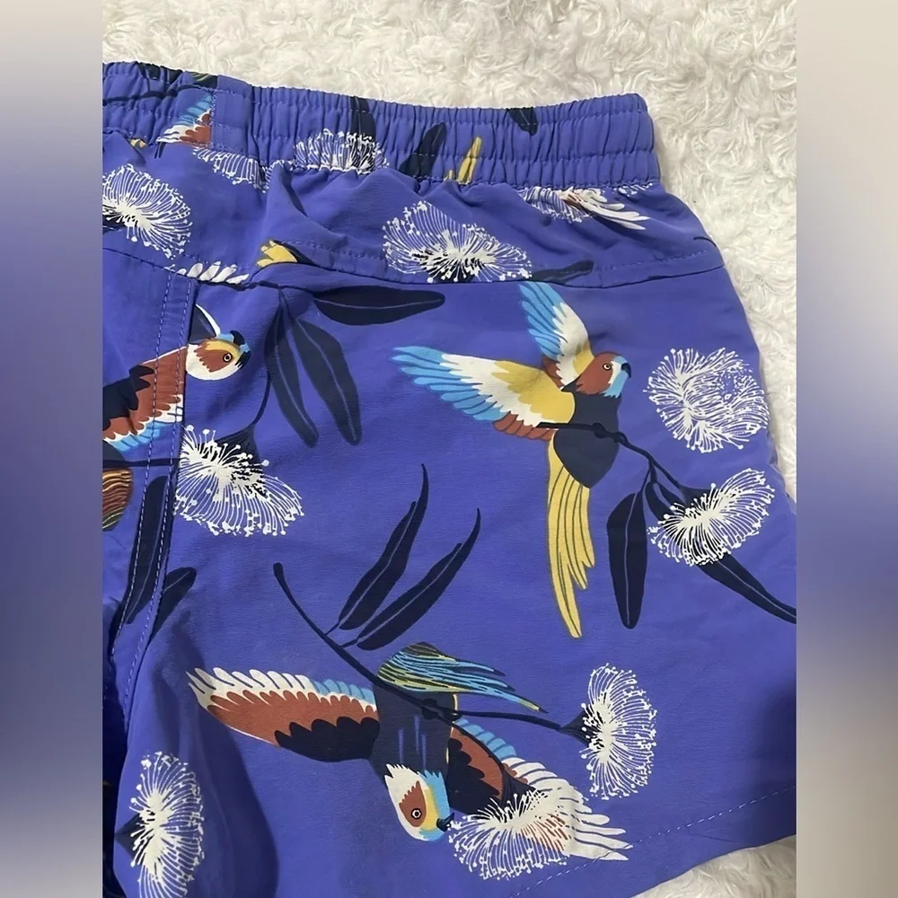 Patagonia vibrant blue