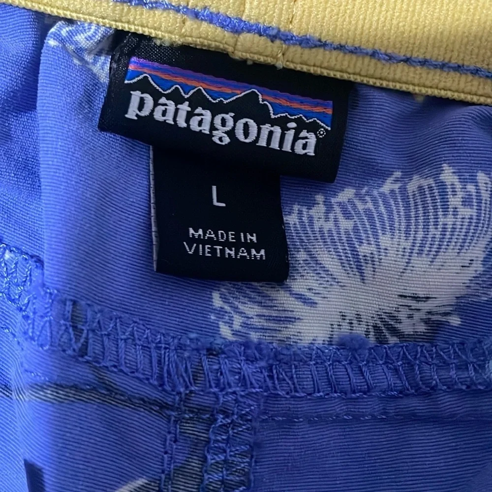 Patagonia vibrant blue