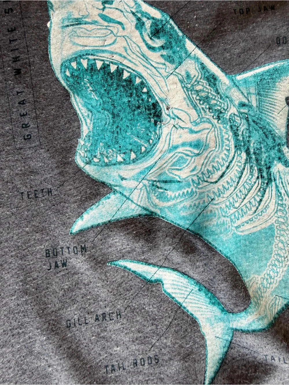 Old Navy 🦈 old