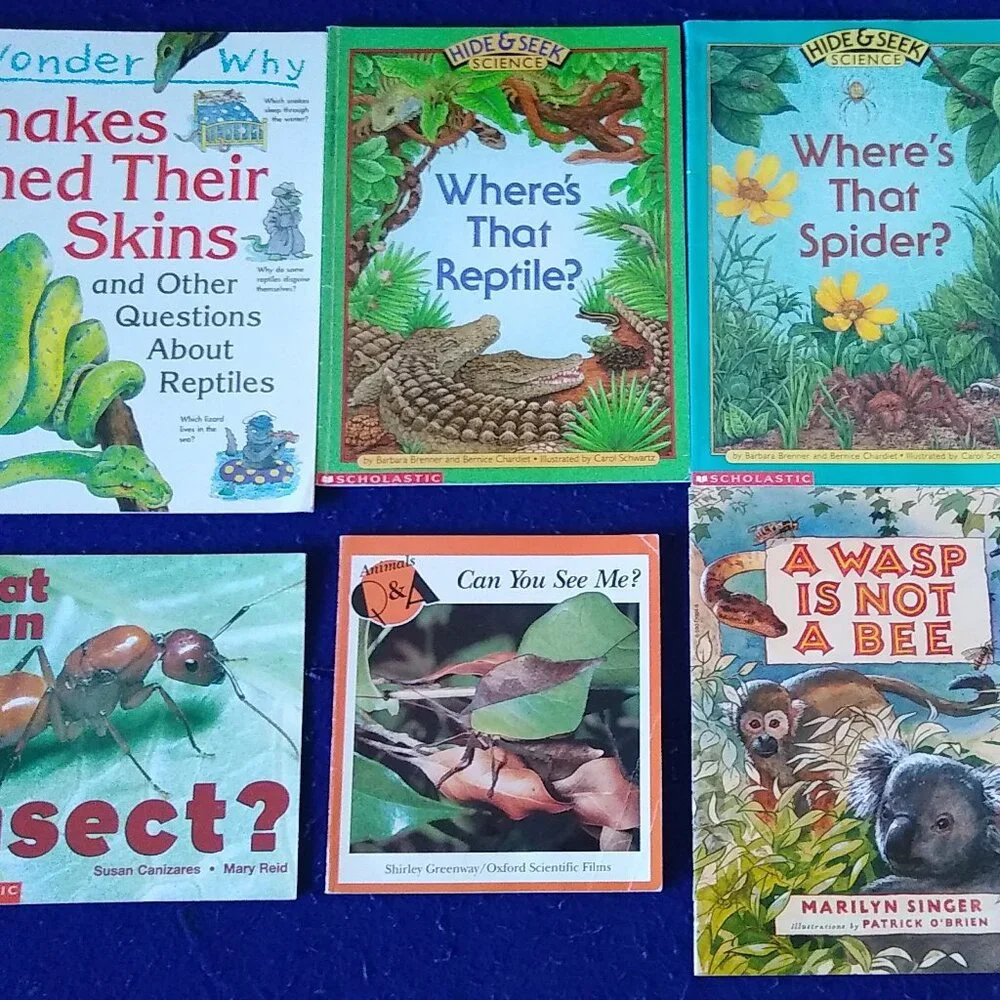 A wasp is not a bee + Spider + Reptiles + Wasp + Insect,  Science Books x 6 Set