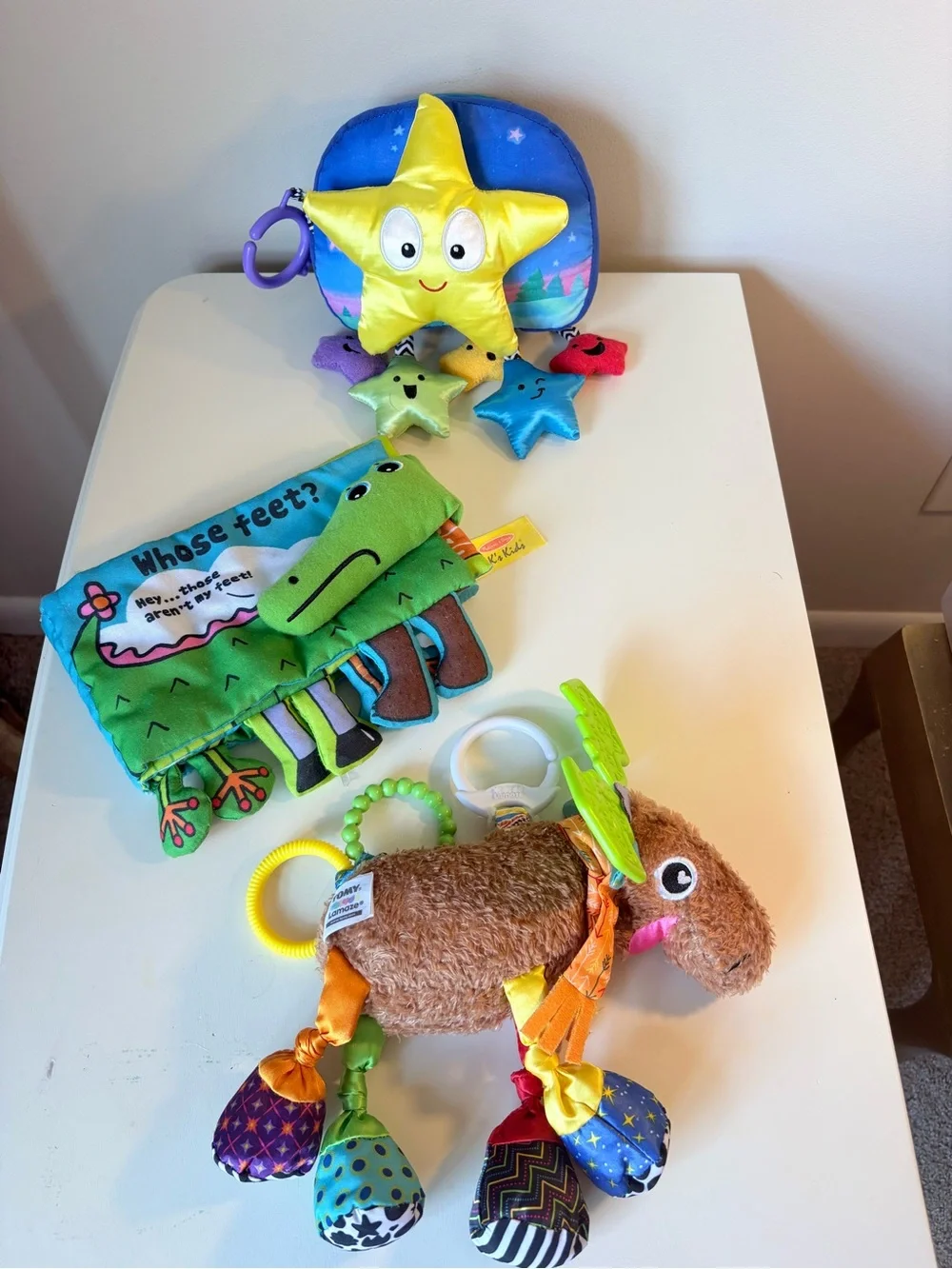 Sensory book bundle and toy