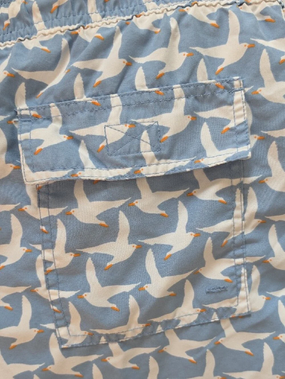 Tom & Teddy classic swim
