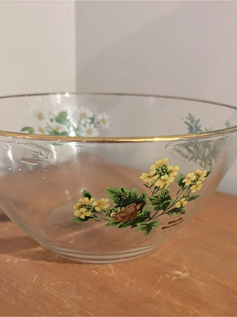 Royal Worcester Herbs Glass Salad Serving Bowl 9