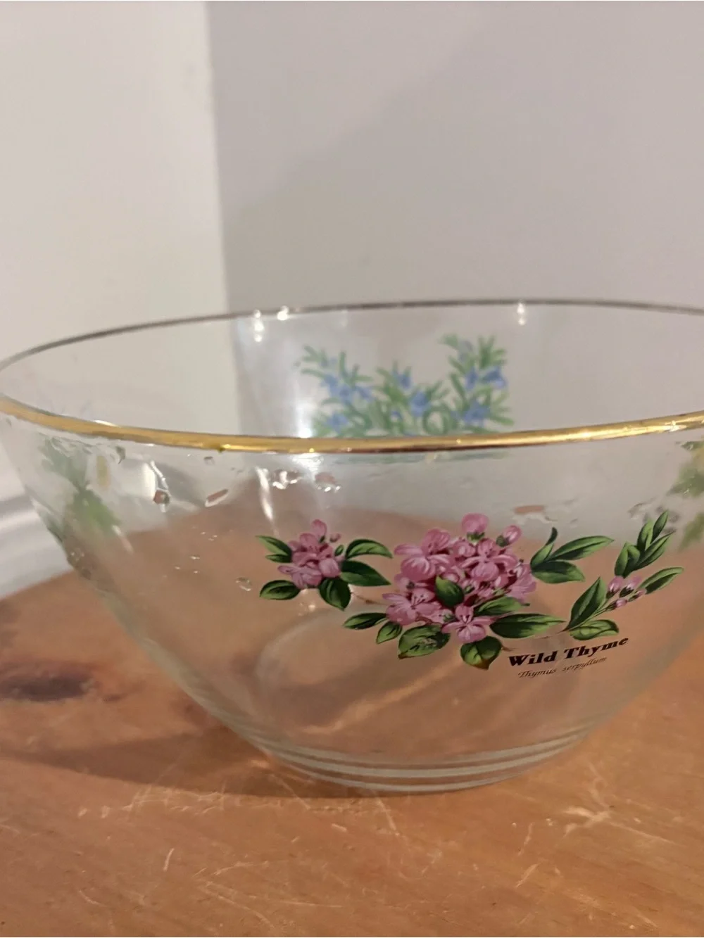 Royal Worcester Herbs Glass Salad Serving Bowl 9