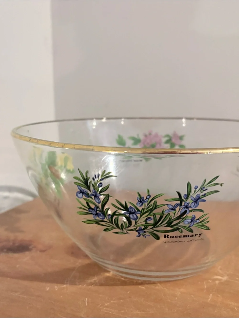 Royal Worcester Herbs Glass Salad Serving Bowl 9