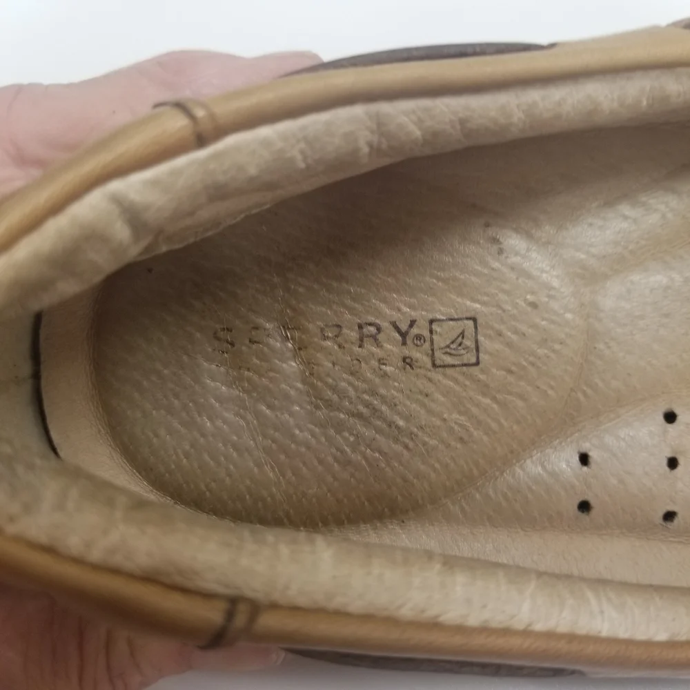 Sperry mens size