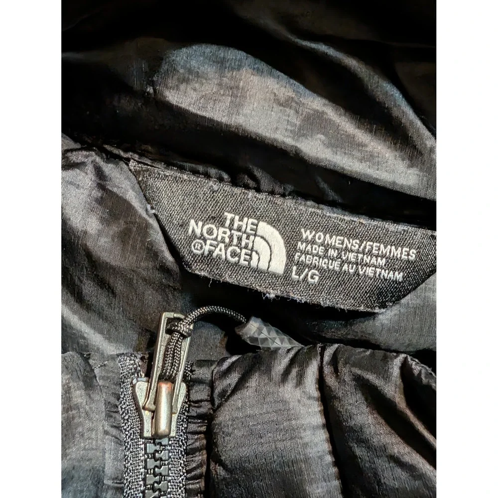 The North Face brand north
