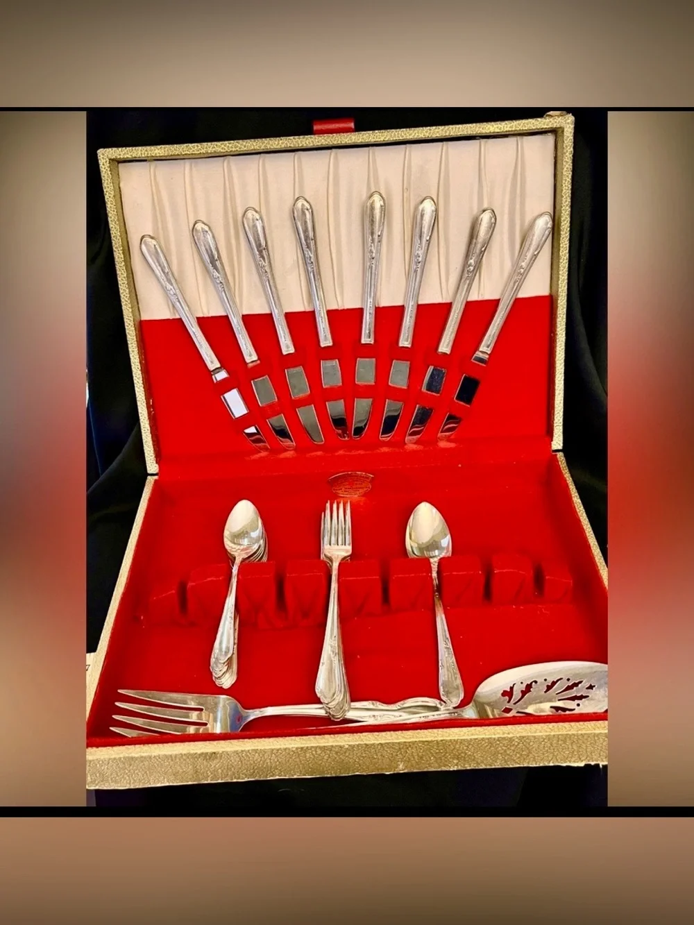 Vtg 1936 A1 Plus Oneida Wm A Rogers Meadowbrook Silverplate 26pc Set inc Extras