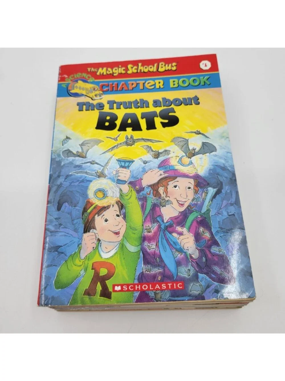 Scholastic magic school