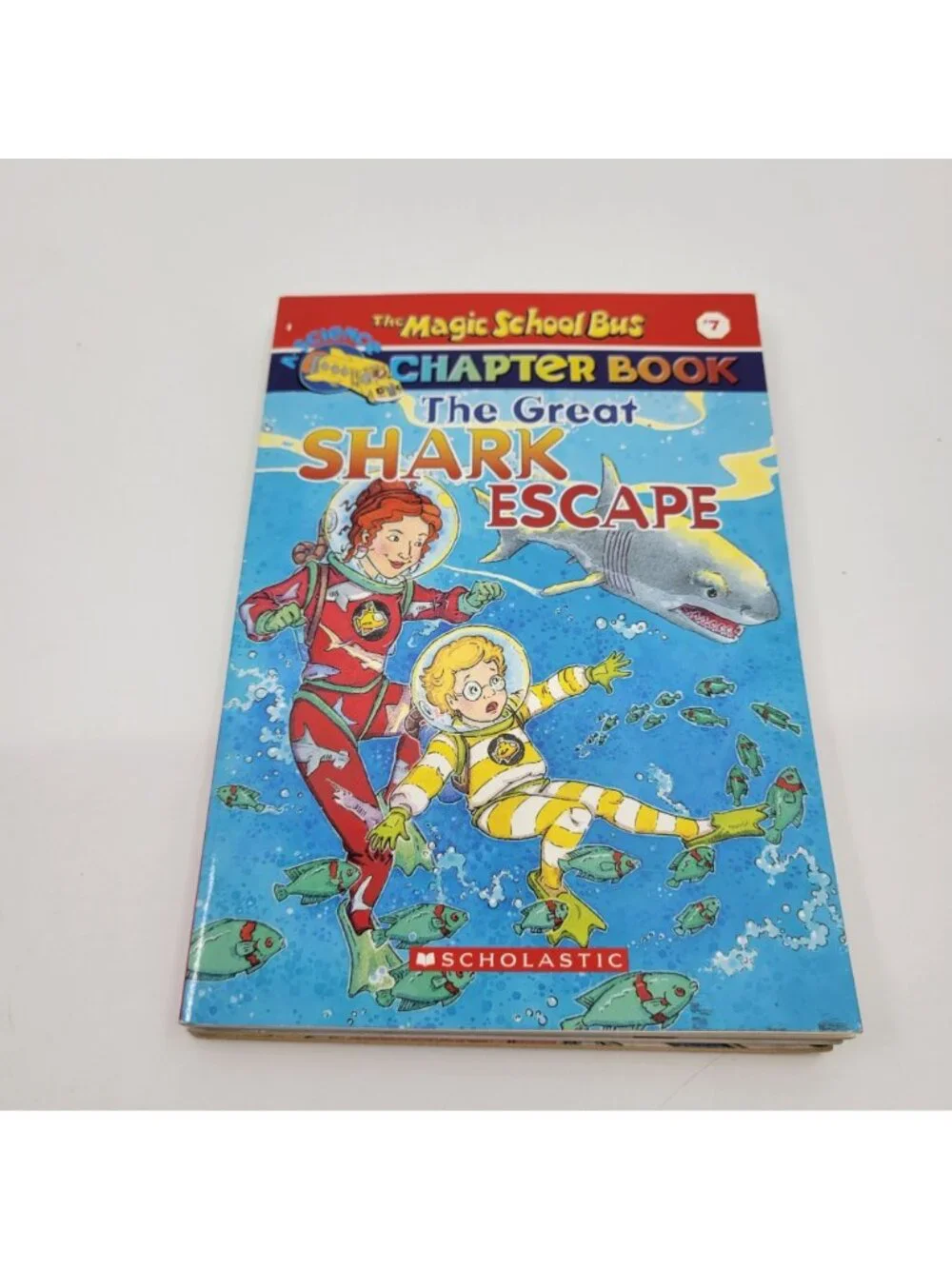 Scholastic magic school