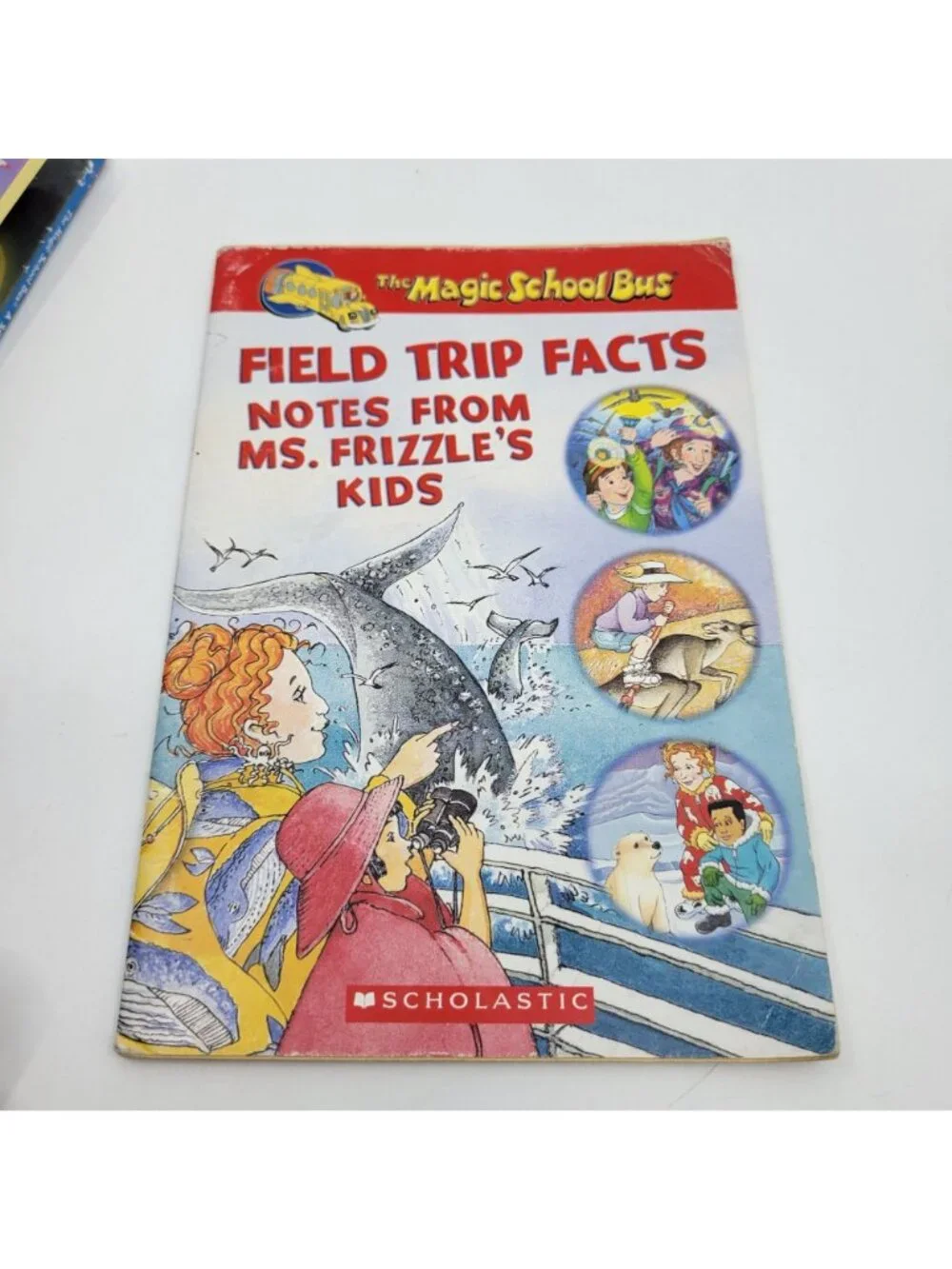 Scholastic magic school