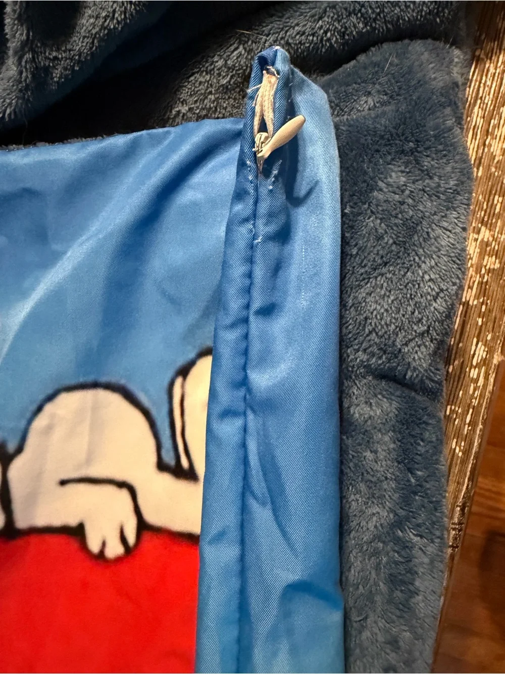 Scooby-Doo! scooby doo