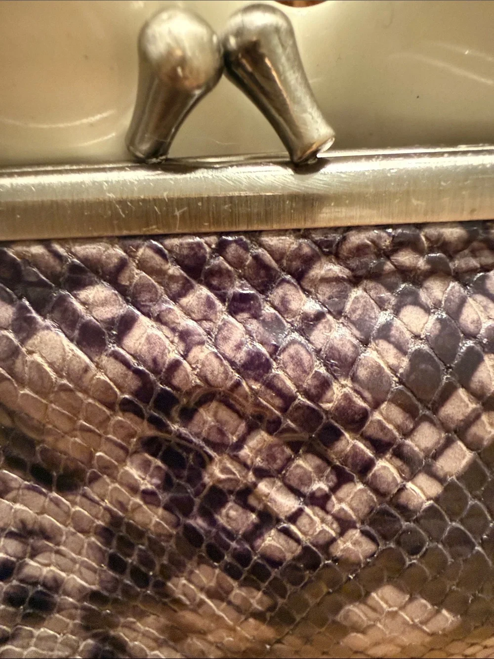 Patricia Nash Python Coin Purse Kisslock