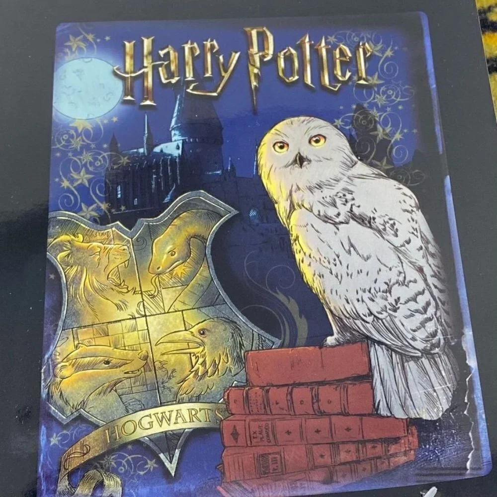 Spirit Halloween Harry Potter Magical World Fleece Blanket