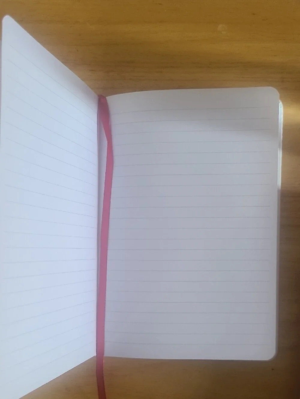 Dayna Lee Collection Teacher Notes Journal with Gold Pen and Red Pen Holder