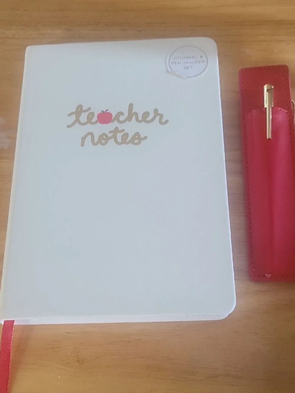 Dayna Lee Collection Teacher Notes Journal with Gold Pen and Red Pen Holder