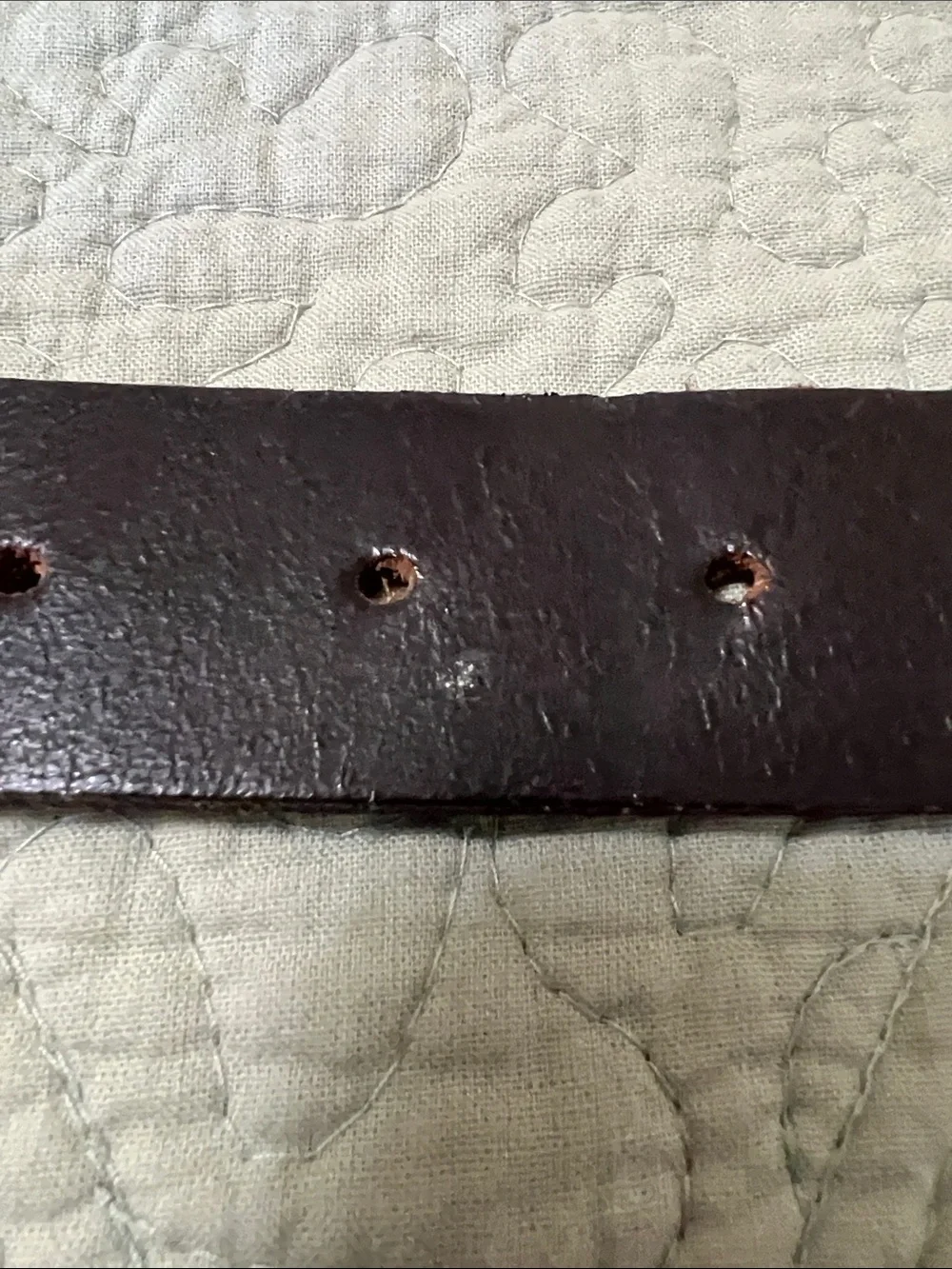 Women’s Dark Brown Leather Belt with Decorative Silver Accent and Silver Buckle