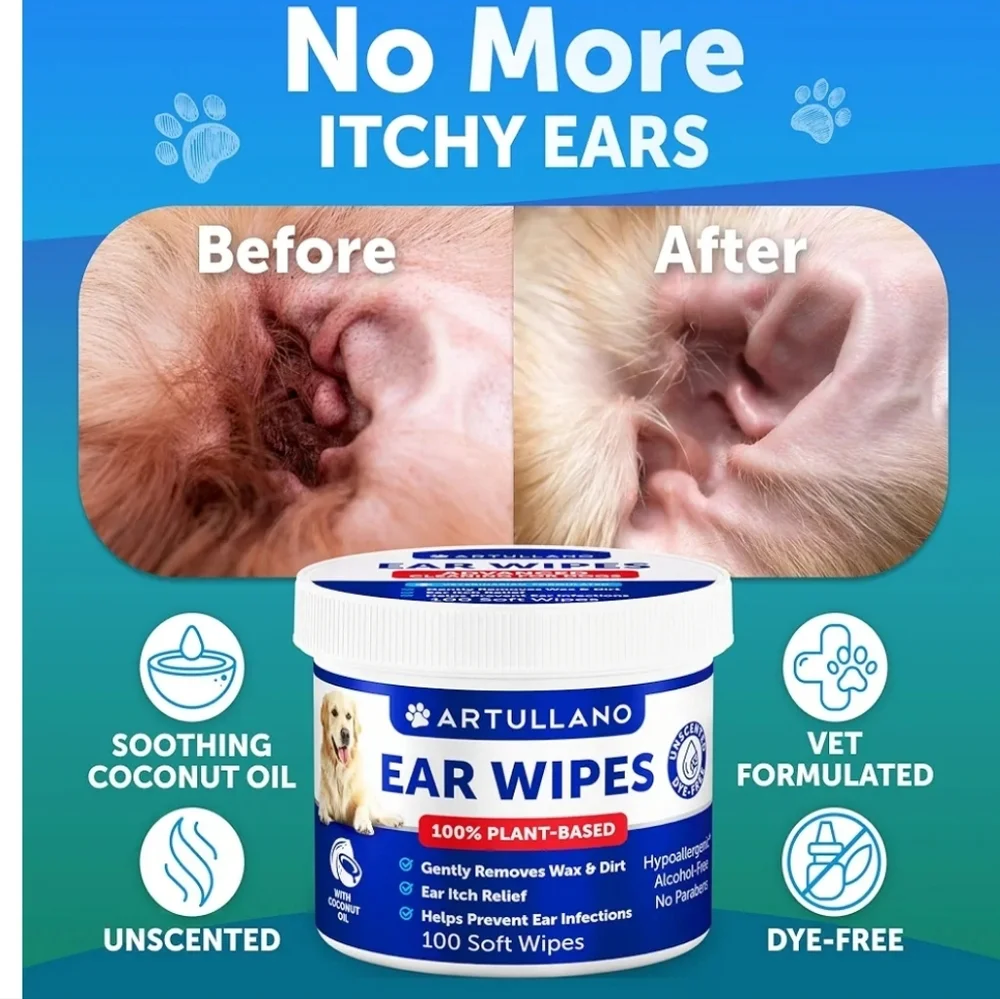Heart4Kids removes dogs based