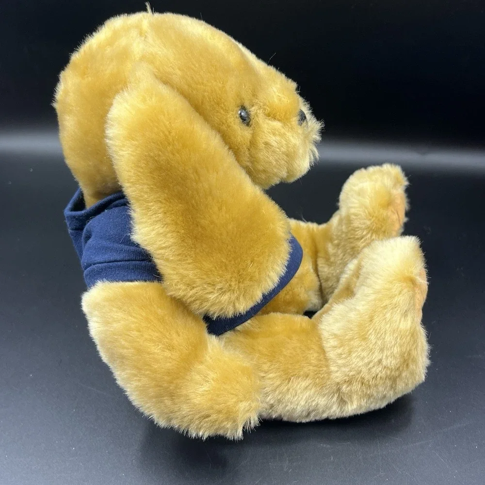 Chelsea Teddy Bear Co questions are