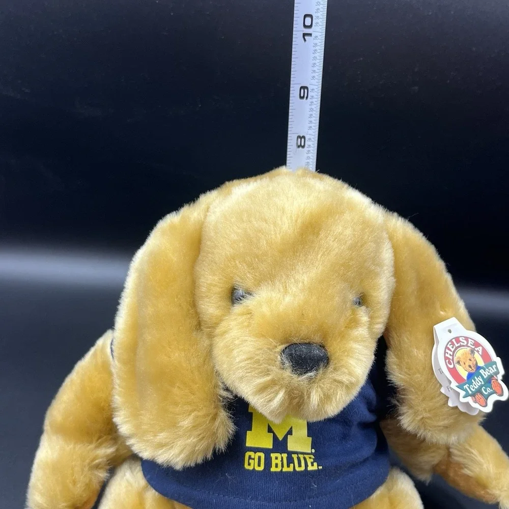 Chelsea Teddy Bear Co questions are