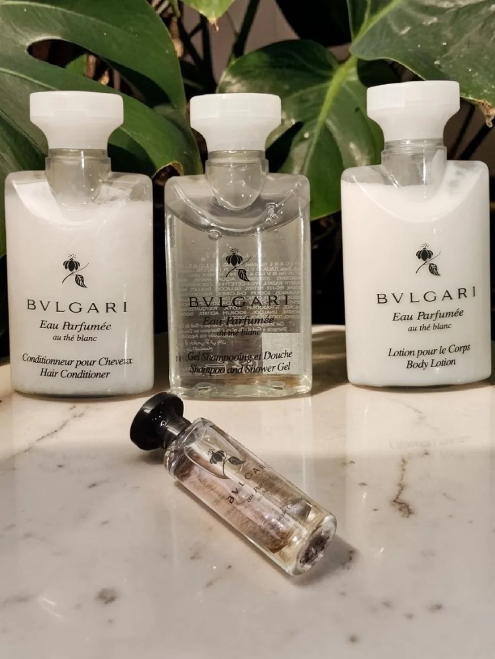 BVLGARI elegant bulgari