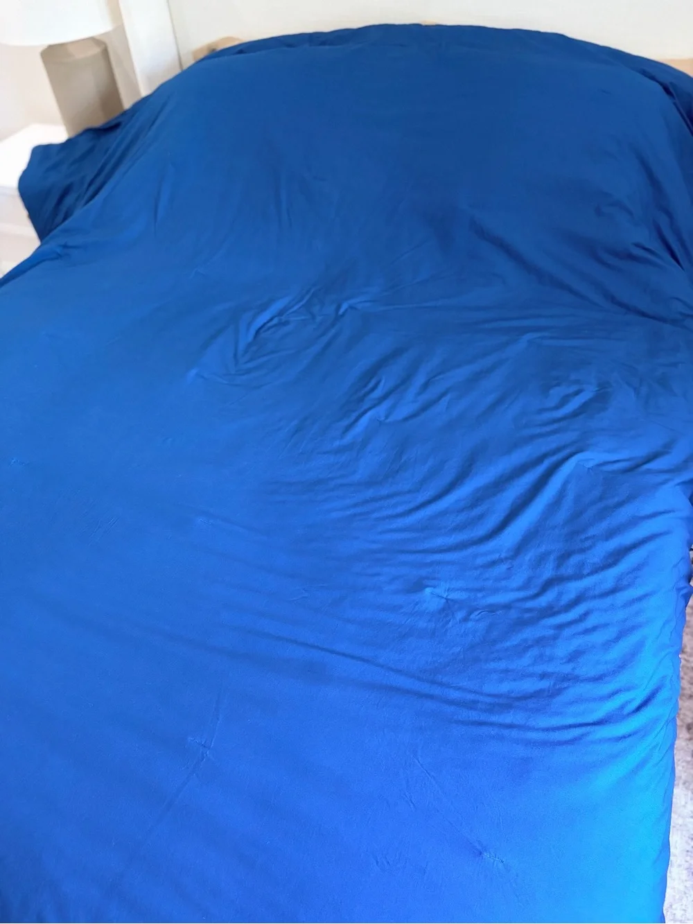 Pendleton king comforter