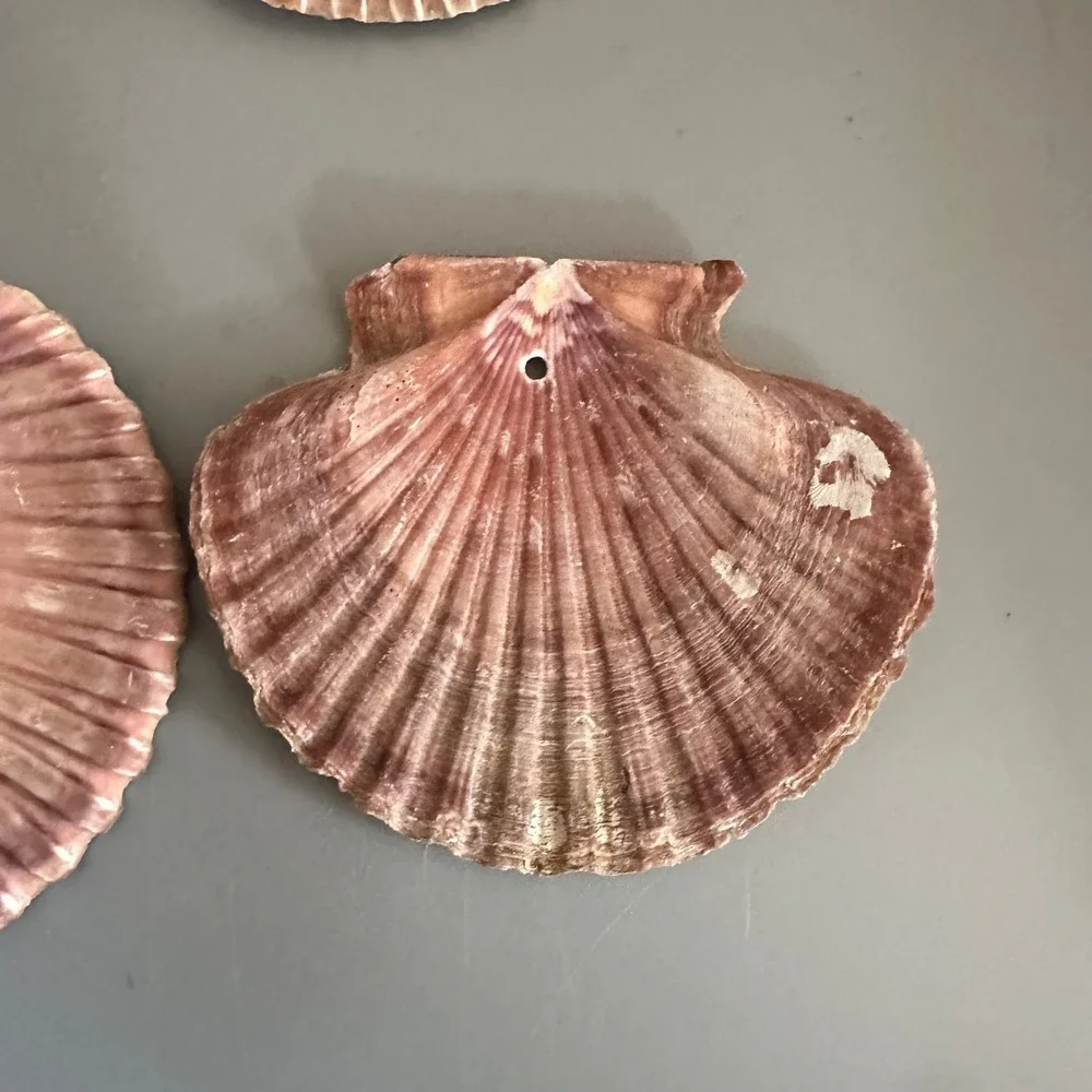 Unbranded natural purple