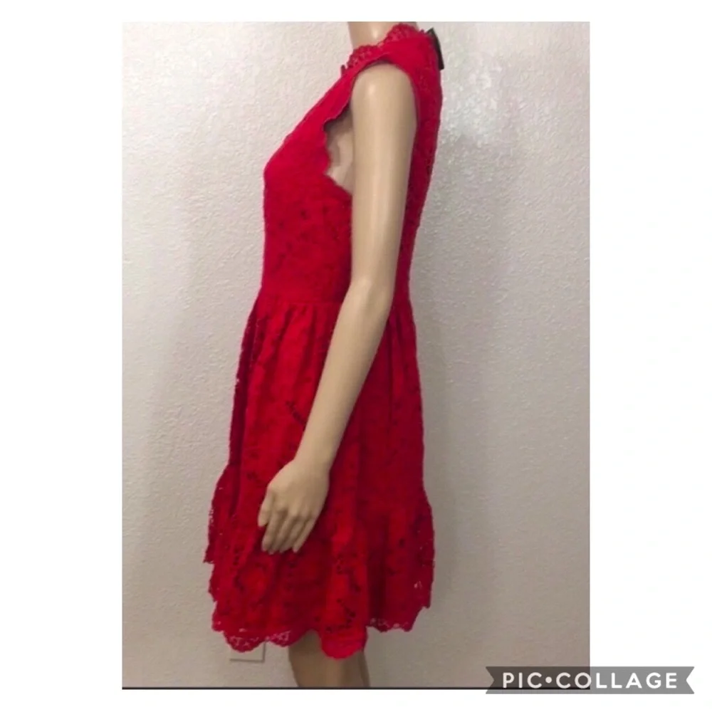 🌻🆕 Kate Spade Lingonbery Desert Muse Poppy Field