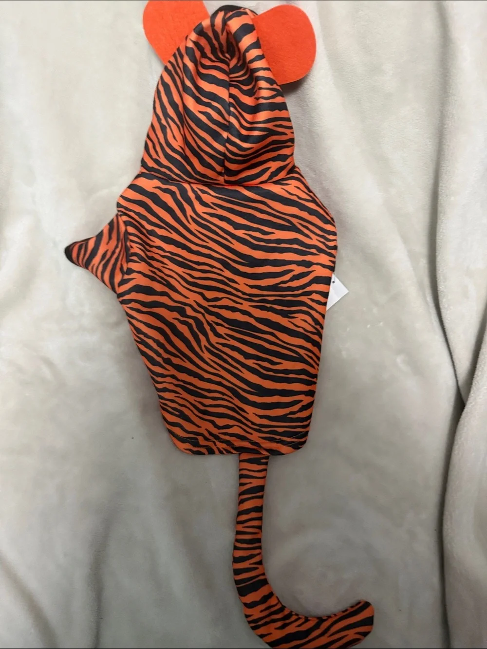 Pet spirit cute orange