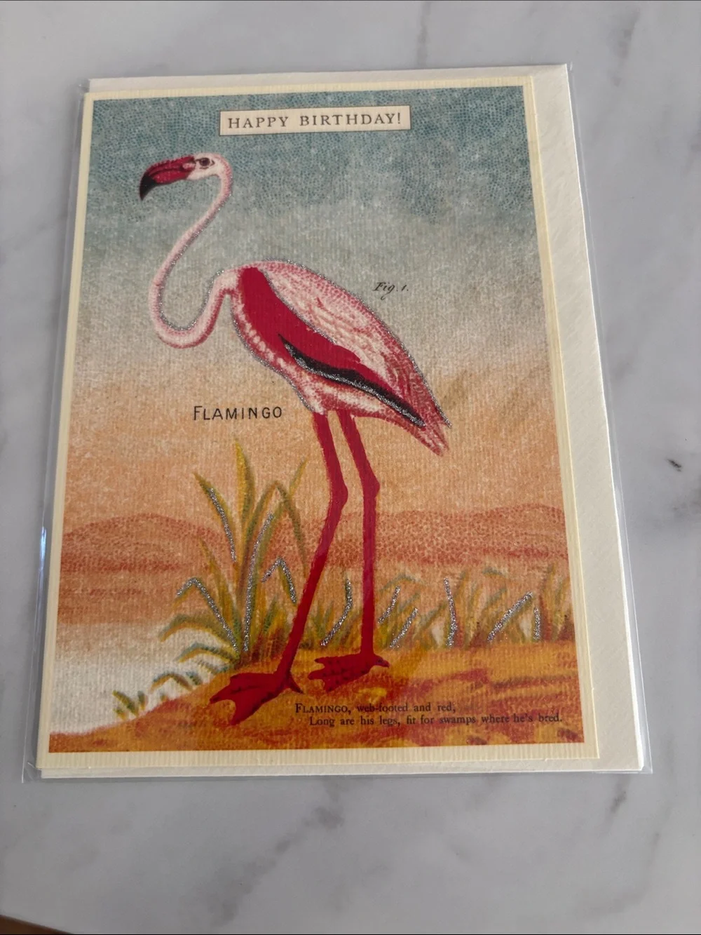 Cavallini & Co - San Francisco- Flamingo Birthday Greeting Cards - Pack of 12