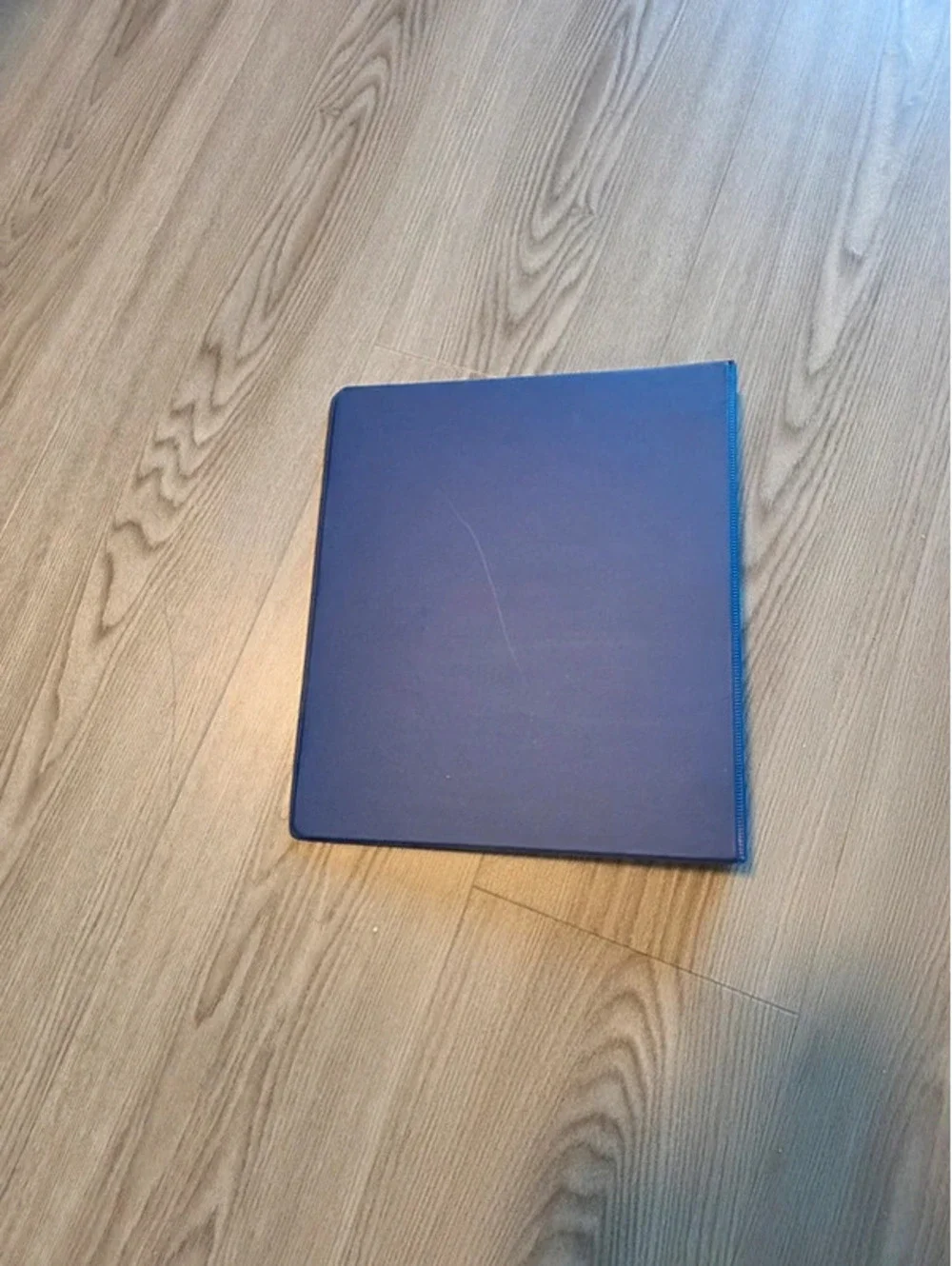Staples Blue 3-Ring Binder