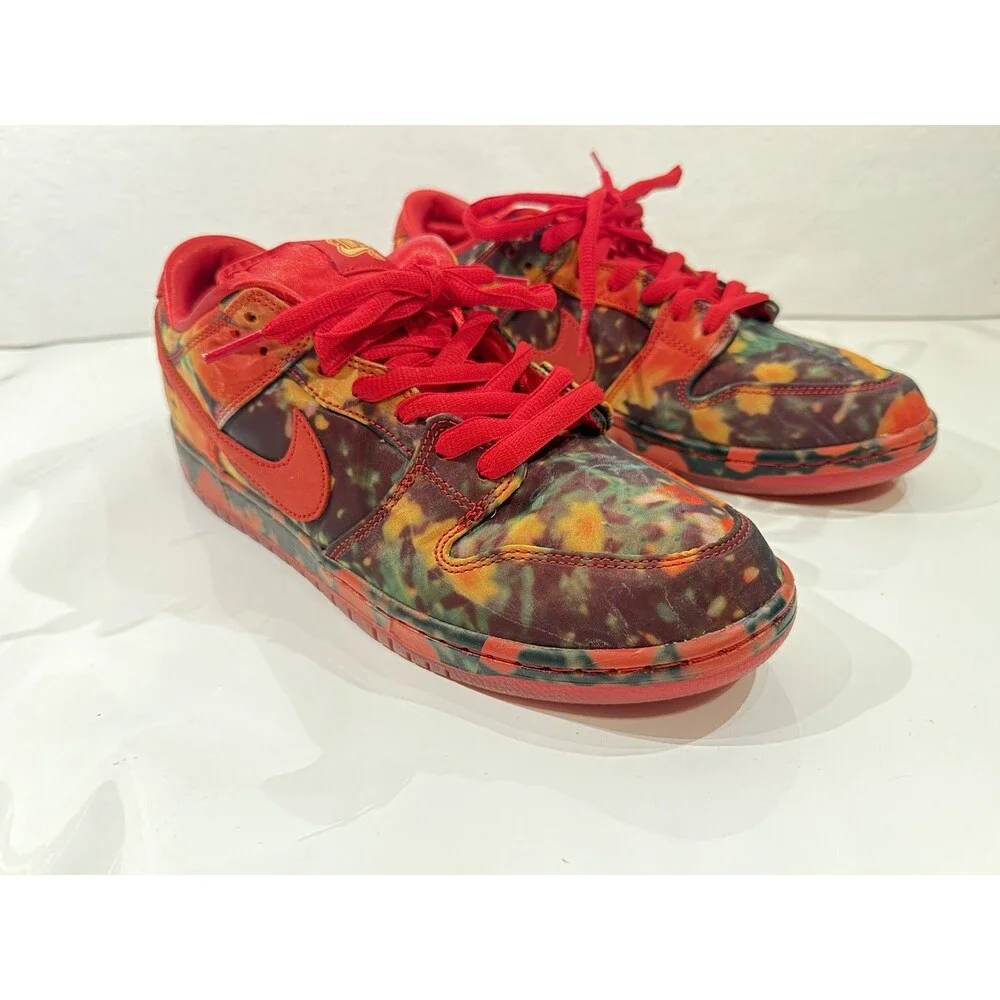 The Wizard of Oz x Nike Dunk SB Low Poppy Field Red Sneakers Size 10.5