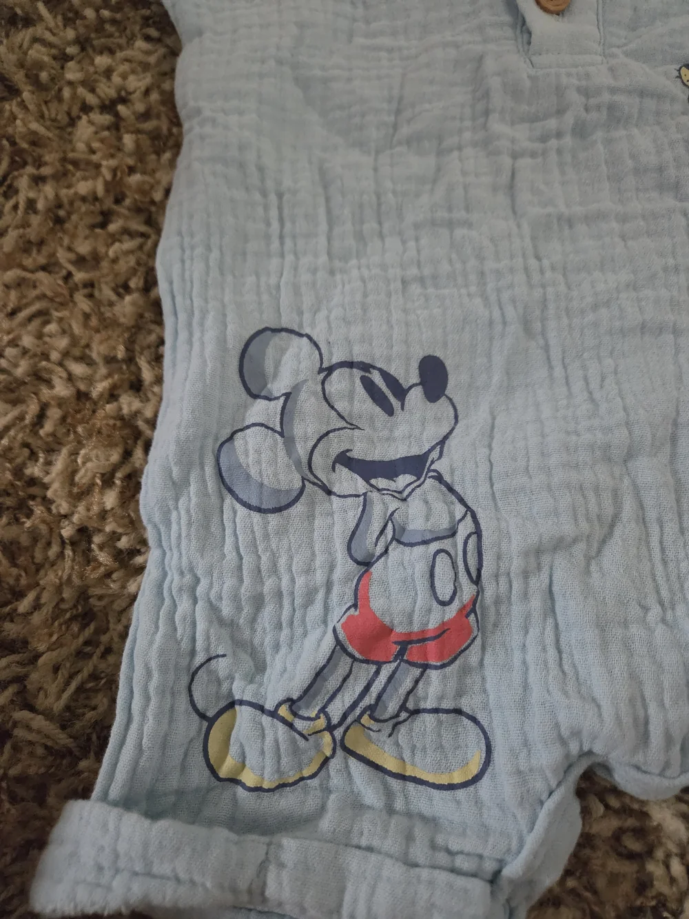 Disney mickey pluto