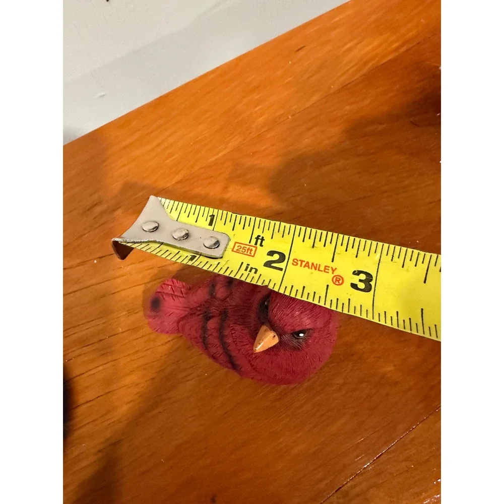 N/A red cardinal