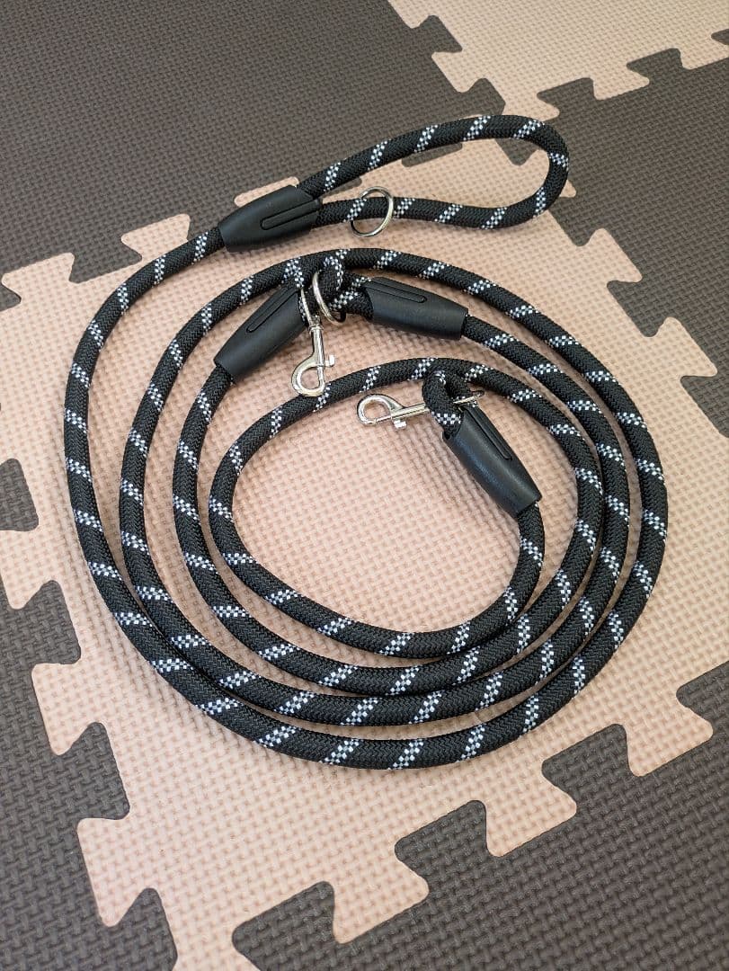 Hands-Free Dog Leash