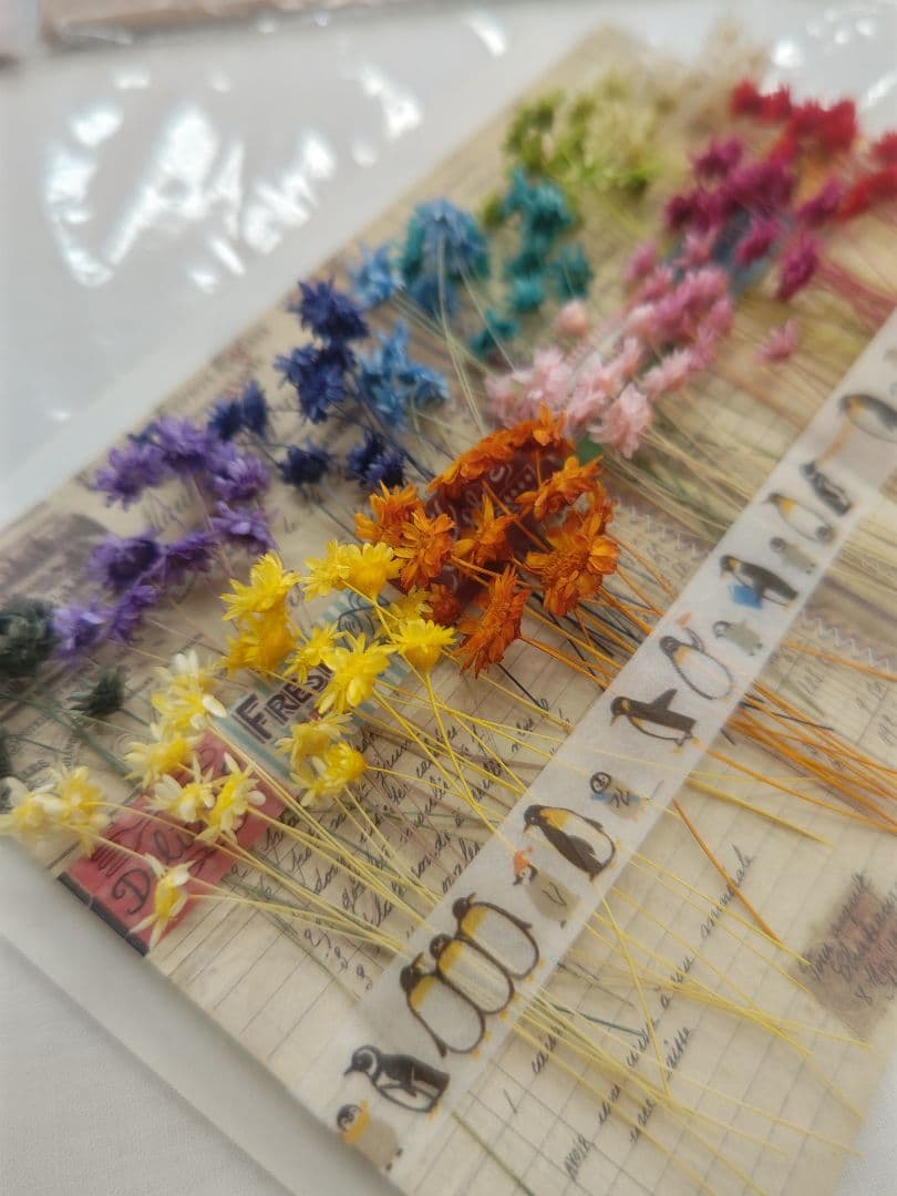 Star Flower 10 pcs 15 Colors Resin Herbarium Dried Flowers