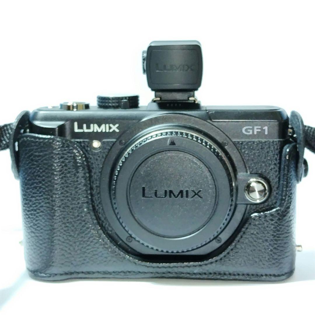 LUMIX GF1 Mirrorless Camera