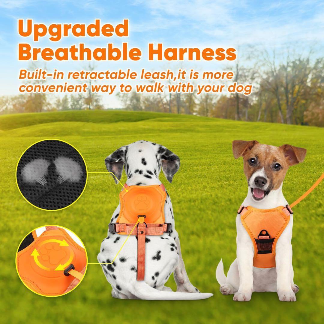 Padded yellow nylon harness and leash set, size L