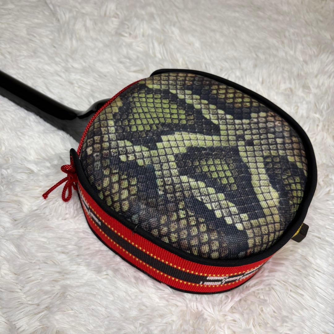 Sanshin Okinawa Artificial Skin Folk Music Japanese Instrument Many Accessories Hard Case Included Snakeskin