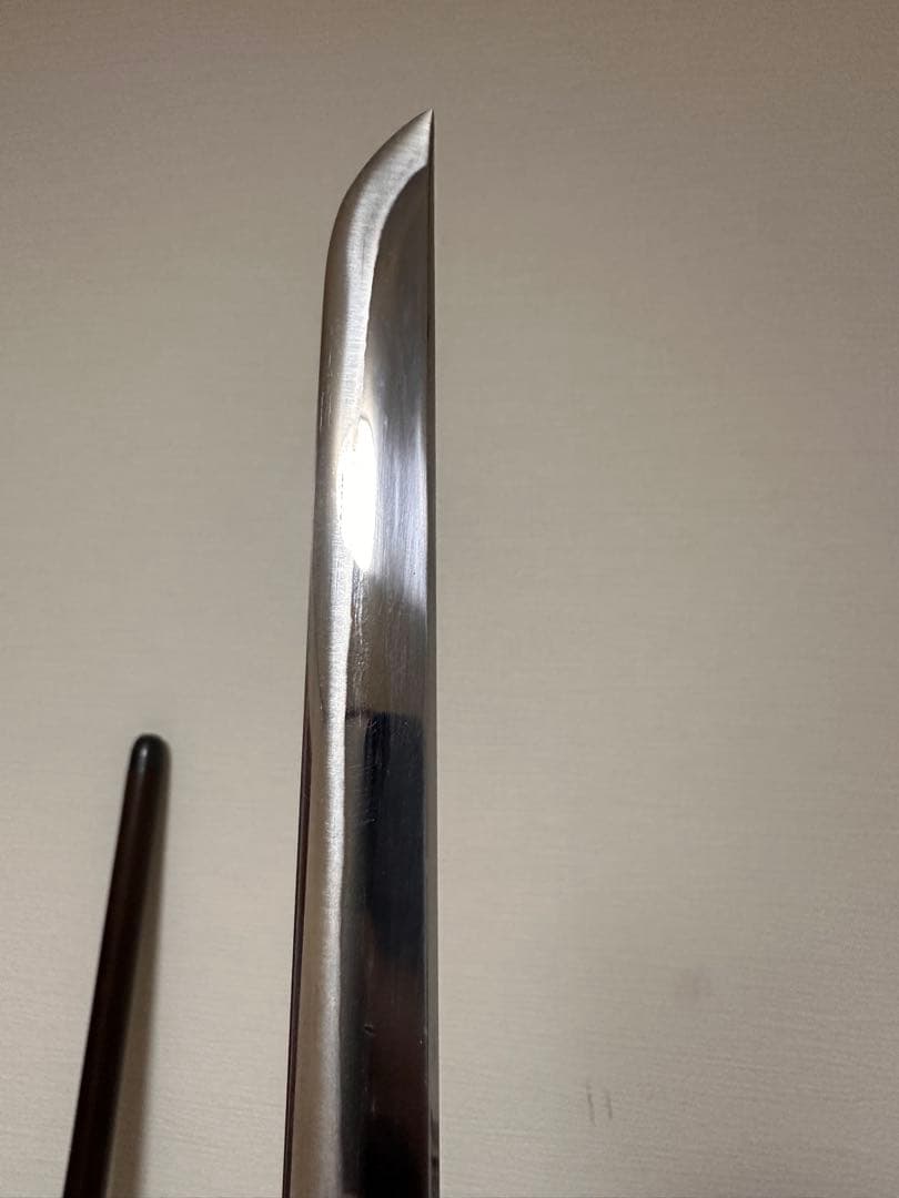 Shikomizue Sword Cane Alloy Blade