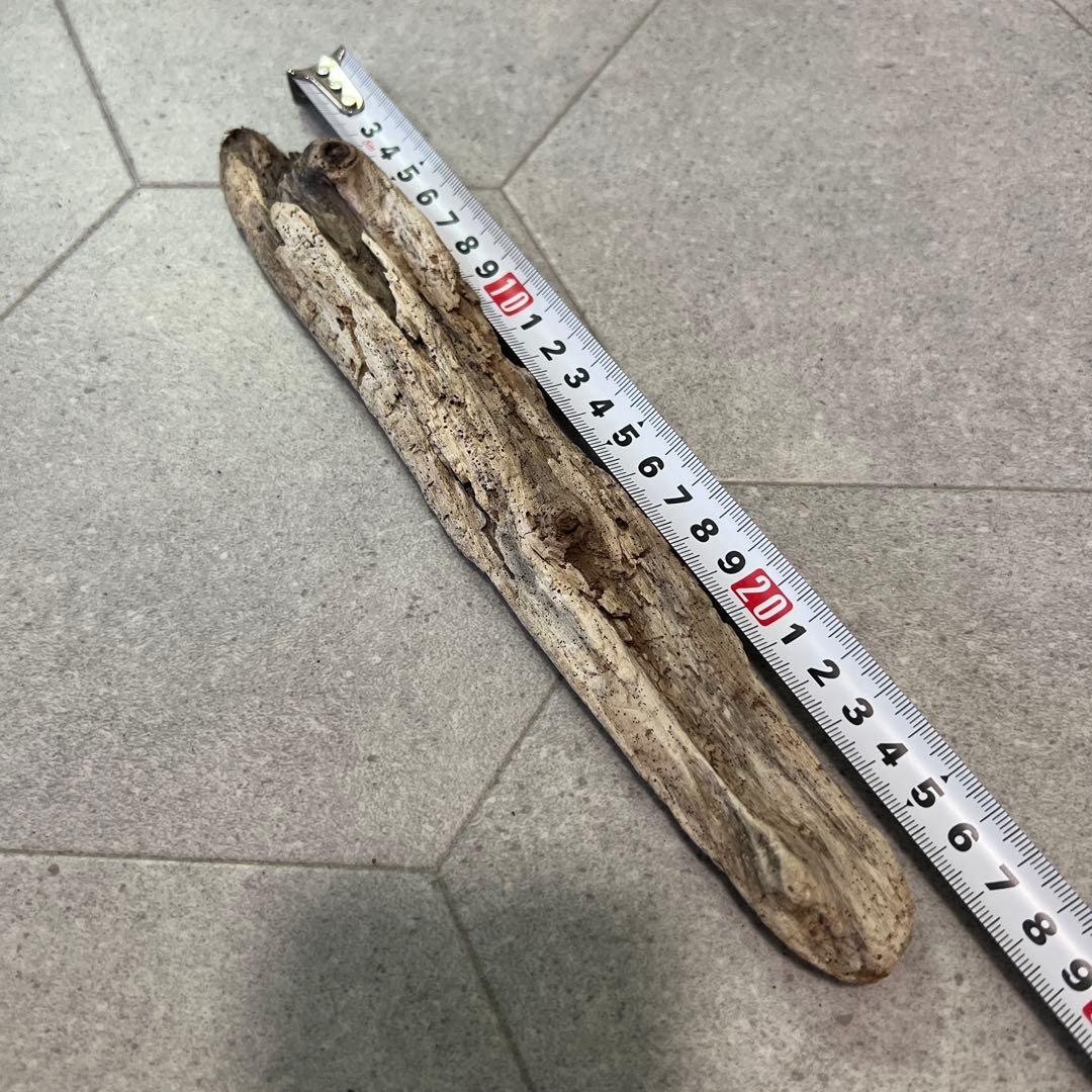 natural driftwood