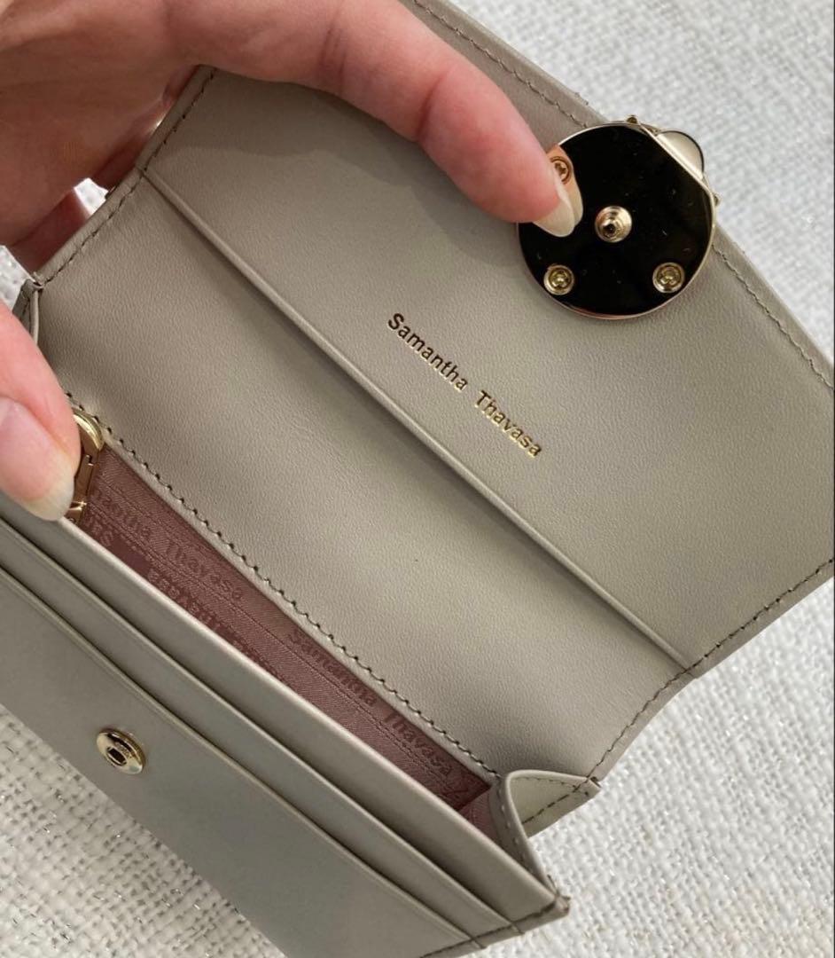 Excellent Condition Samantha Thavasa Fragment Case - Beige
