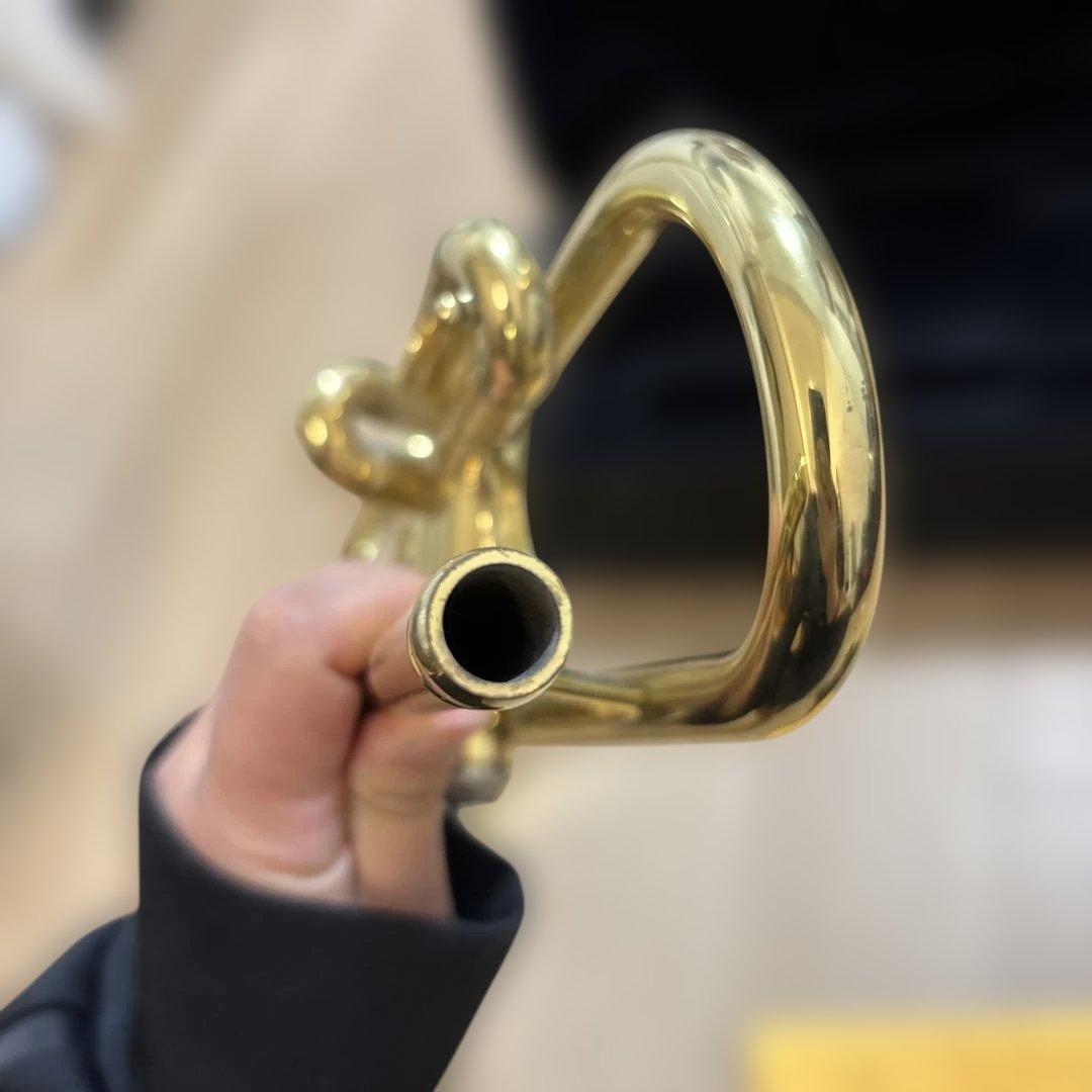 Sakuragakki Soleil Trumpet Vincent Bach 5C