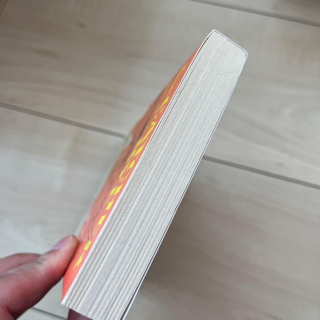 The Catcher in the Rye J.D. Salinger Foreign Book