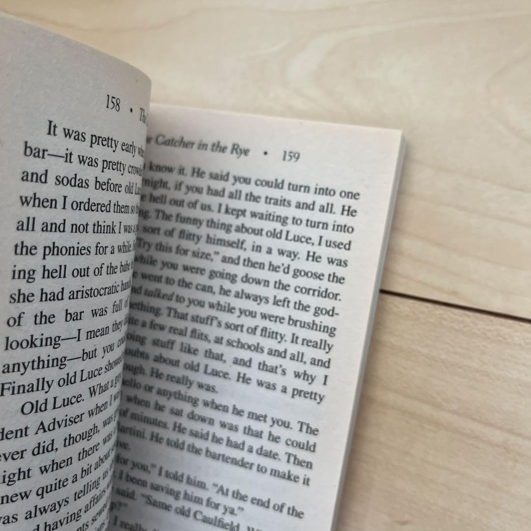 The Catcher in the Rye J.D. Salinger Foreign Book